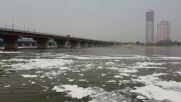 Кадри от дрон показват появата на токсична пяна в река Ямуна в Ню Делхи (ВИДЕО)