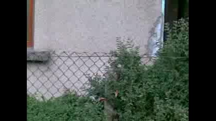 Десант на катерички,  на 20 м. от бул. Сливница,  София