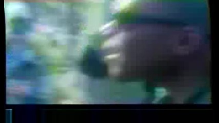 Bloods & Crips - I Wish You Were Here