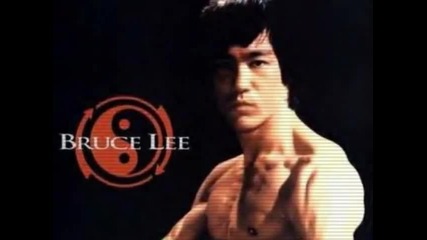 The Best of Arnold Schwarzenegger Sylvester Stallone Bruce Lee and Jean - Claude van Damme 