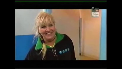 Спасяване на австралийските животни (2004)