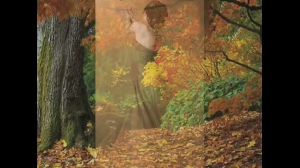 Le Piano De Lautomne by Paul Mauriat 