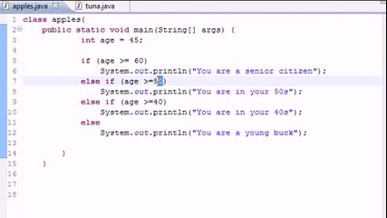 Java Programming Tutorial - 19 - else if Statement