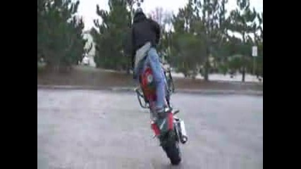 Aaron Colton 13 Year Old Stuntrider