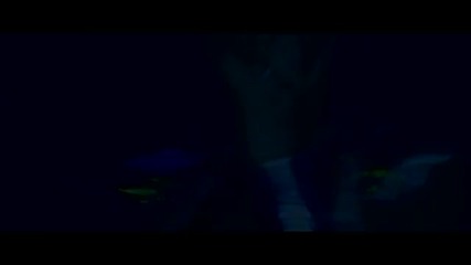 Aligator - Starting Over