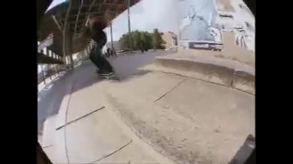 Ryan Sheckler Skateboarding