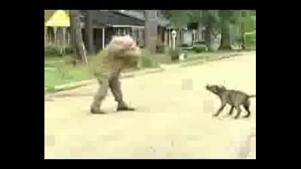 Cамоотбрана При Нападение На Куче
