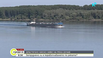 Драстичен спад на река Дунав край Лом: Има ли опасност за корабоплаването