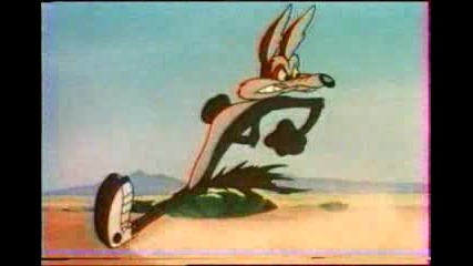 Road Runner