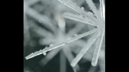 test_bur_xmas_card_large