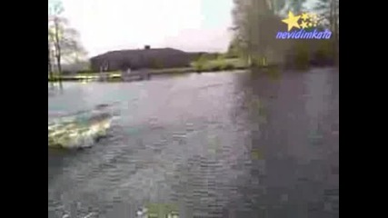 Луда Патица Със Смело Сърце!!!