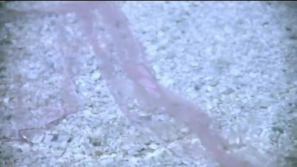 [pv] Mell - Mirage