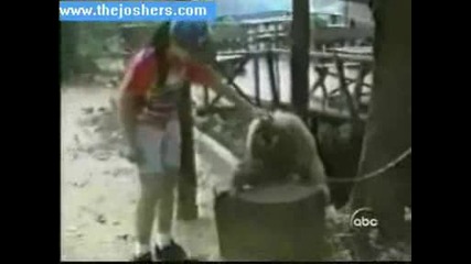 Monkey Head.wmv