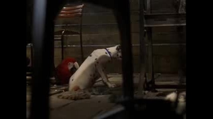 102 Dalmatians (2000) [part 9]