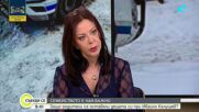 Ани Владимирова: Трагедията "Петрохан" разкрива колективна травма и илюзии на родителите