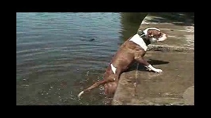 Смях: куче вади камък от вода и той пак пада 