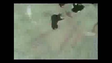 Thebest Moments Ot Naruto