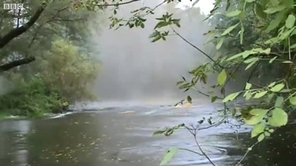 Взривяване На Бомба От Втората Световна Война