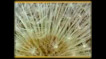 Secret Garden - Sometimes When it Rains