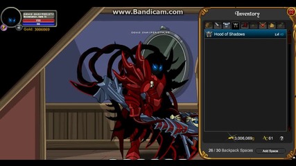 Aqw my items