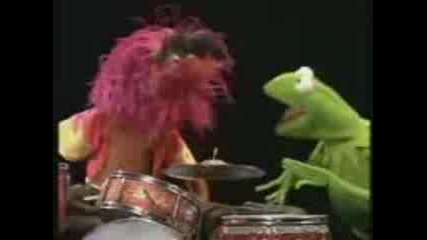 Animal Luvs Drums