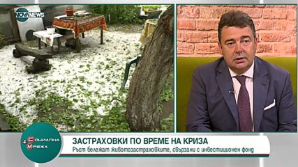 ЗАСТРАХОВКИ ПО ВРЕМЕ НА КРИЗА: Ръст бележат застраховките, свързани с инвестиционен фонд