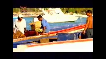 Tamara - Como le explico