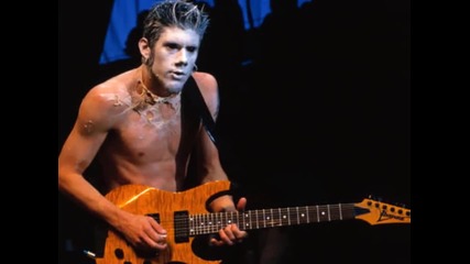 Limp Bizkit (wes Borland)
