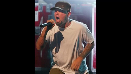 Limp Bizkit (wes and Fred)