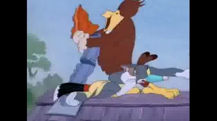 Tom And Jerry