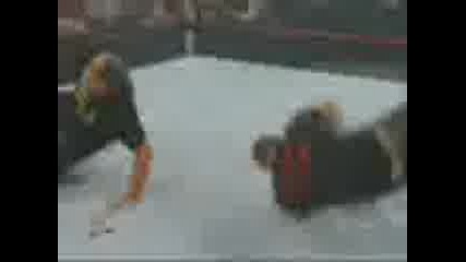 Wwe finishers 2008 2009 
