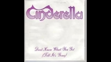 Cinderella - Dont Know What You Got ( Until Its Gone ) [ With Lyrics ]