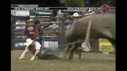 Ned Cross Vs. Fine Wine 