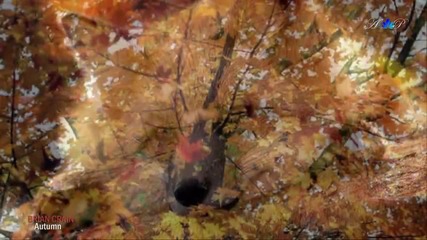 Brian Crain - Autumn