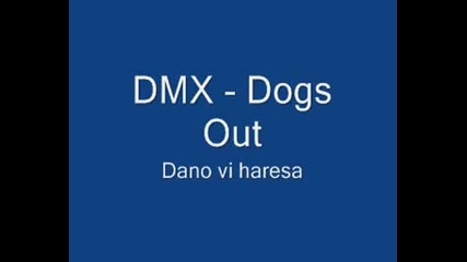 Dmx - Dogs Out