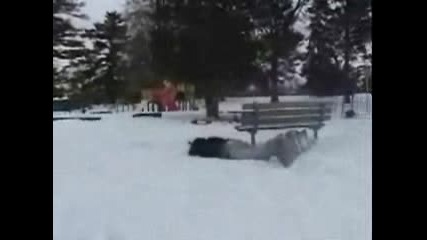 Fynny Snowbording