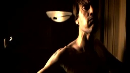 Within Temptation - What Have You Done