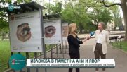 Откриват изложба в памет на Ани и Явор, които загинаха на бул. „Сливница”