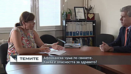 Африканската чума по свинете - каква е опасността за здравето?