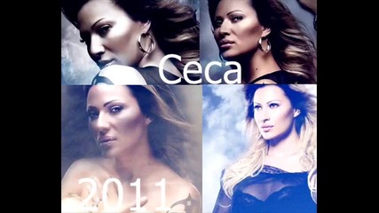Ceca 2011 - Hvata me