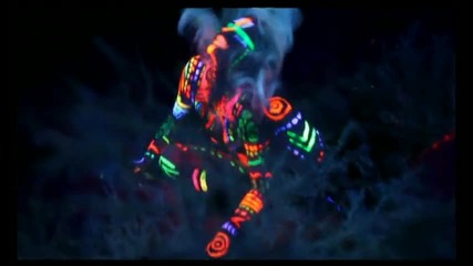 Ke$ha - Your Love Is My Drug ( Официално видео )