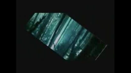 Love game Bella/edward Story