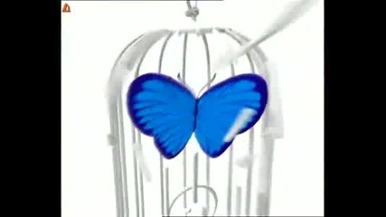 (1999) Волна Пеперуда