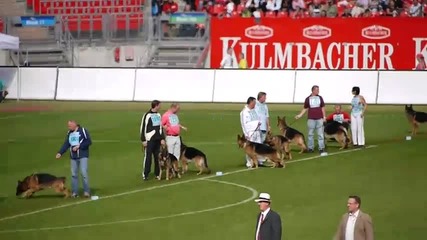 Bszs 2010 Nurnberg - Va1 Ober von Bad - Boll (2)