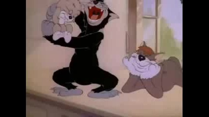 Tom I Jerry Parodiq 2
