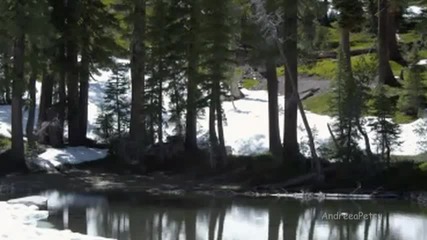 Winter Wonderland 