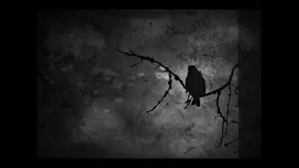 Без теб - всичко е нищо... 