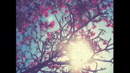 Lily Frost - Who Am I