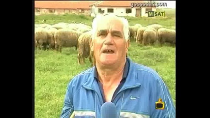 Пастири