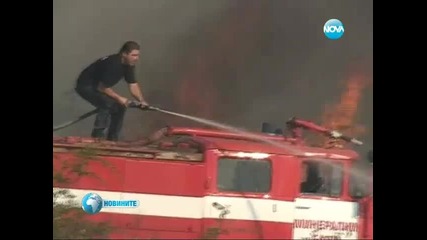 Огън опустошава над 3000 декара гори край Хасково